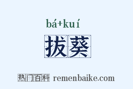 拔葵是什么意思的图片